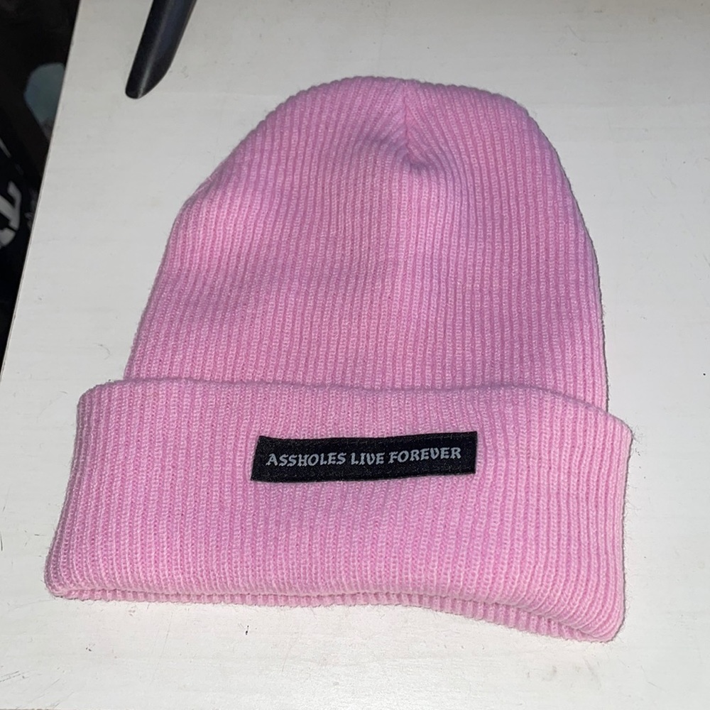Assholes Live Forever pink beanie